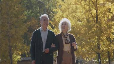 幸福的老年夫妇在公园里散步